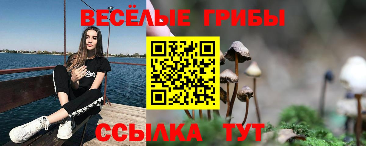 Псилоцибиновые грибы Magic Shrooms  Вход с VPN  где найти наркотики  Сосновоборск 